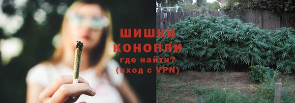 трава Аркадак