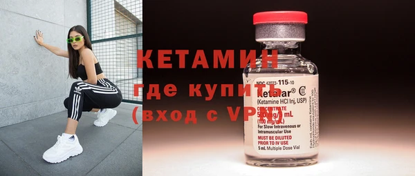 трава Аркадак