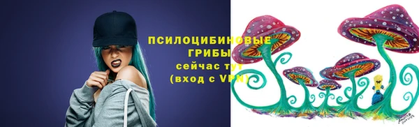 трава Аркадак