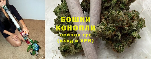 трава Аркадак